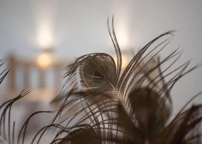 Aqua Naxos & 게스트하우스